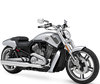 LEDs y Kits Xenón HID para Harley-Davidson V-Rod Muscle 1250