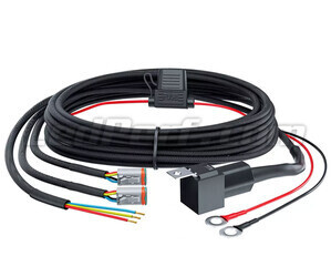 Mazo de cables con relé Philips Ultinon Drive UD1004W - 2 Conectores DT 4 Pin
