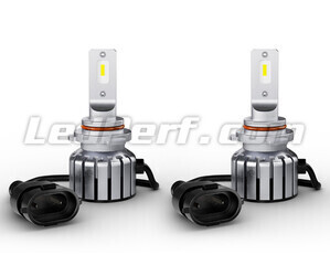 Par de bombillas H10 LED Osram LEDriving HL Bright - 9005DWBRT-2HFB