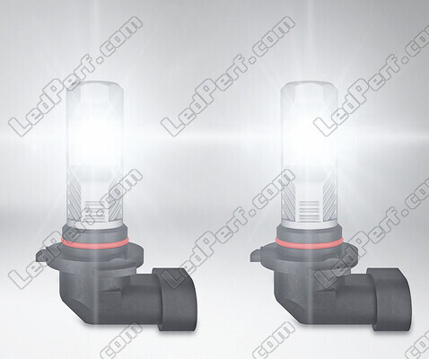 bombillas led H10 Osram LEDriving Standard para Antinieblas en funcionamiento