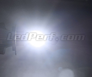 LED H11 LED de Alta Potencia moto escúter y quad