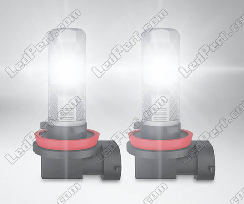 bombillas led H11 Osram LEDriving Standard para Antinieblas en funcionamiento