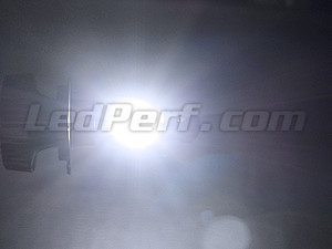 H3 LED de Alta Potencia