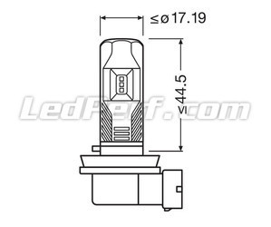 Conjunto de los Dimensiones del bombilla led H8 Osram LEDriving Standard para Antinieblas