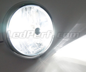 Bombilla HB3 LED moto ajustable - Iluminación color Blanco puro