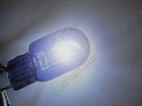 bombilla T20 W21W Halógena Blue vision Xenón efecto Led