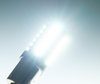 Iluminación bombilla P21W LED (BA15S) Ultimate Ultrapotente