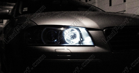 Luces de posición de LEDs Audi A3 con LEDs antierror ODB xenón