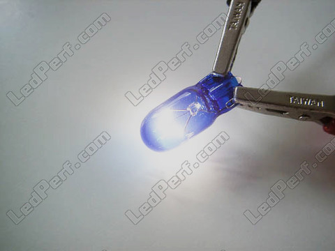 bombilla W16W - Casquillo T15 Halógena Blue vision Xenón efecto Led