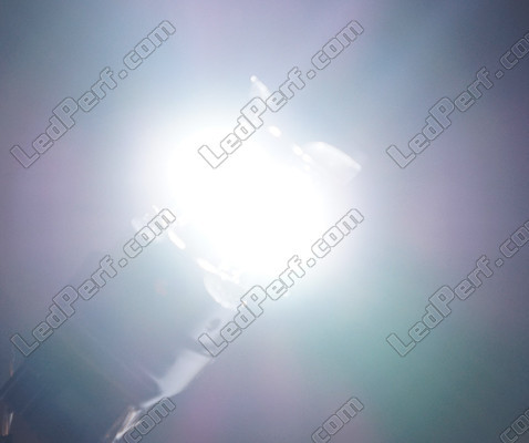 W21/5W LED Serie Ghost luz blanca