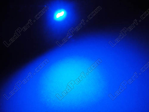 LED T5 Efficacity W1.2W con 2 LED Azules
