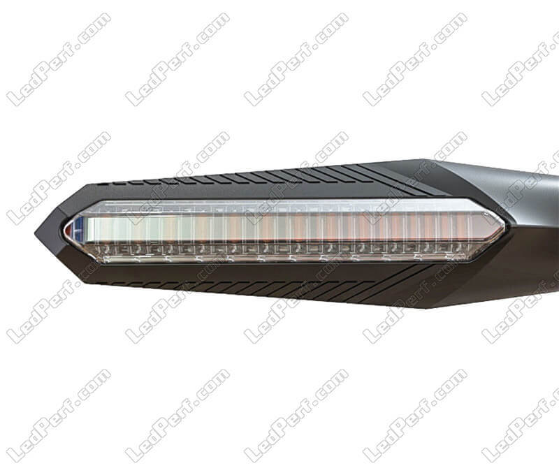 Bombillas LED Philips homologadas para BMW Motorrad R 1250 GS
