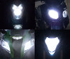 LED faros Can-Am DS 450 Tuning