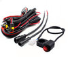Haz eléctrico completo con conexiones estancas, fusible de 15 A, relé e interruptor de manillar para una instalación plug & play en Ducati 749