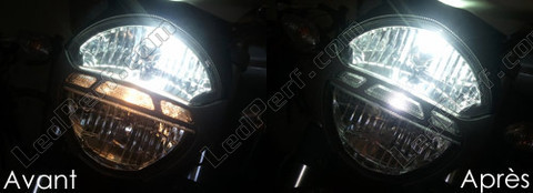 LED luces de posición blanco xenón Ducati Monster 696 796 1100S Evo