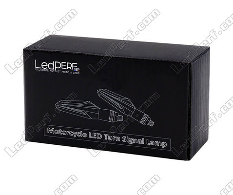 Envase Intermitentes LED secuenciales para Harley-Davidson Forty-eight XL 1200 X (2010 - 2015)