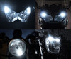LED luces de posición blanco xenón Harley-Davidson Iron 883 (2016 - 2020) Tuning