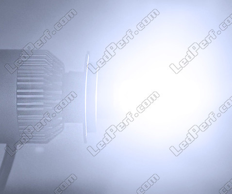 Kit LED COB All in One Honda Pantheon 125 / 150 (2003 - 2006)