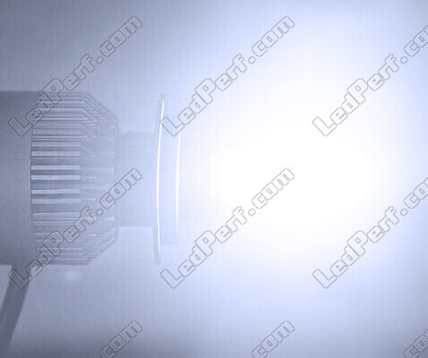 Kit LED COB All in One Polaris Scrambler XP 1000 S (2020 - 2023)