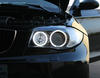 Leds blancas xenón para angel eyes H8 BMW Serie 1 fase 2 6000K - MTEC V3.0