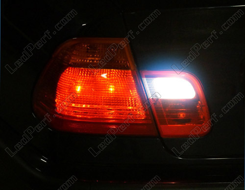 Pack de LEDs para luces de marcha atrás BMW Serie 3 (E46)