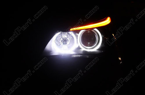 LED angel eyes BMW Serie 5 E60 E61 LCI