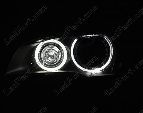 LEDs blancas xenón para angel eyes BMW X5 (E70) 6000K