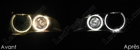 LEDs blancas xenón para angel eyes BMW X5 (E70) 6000K