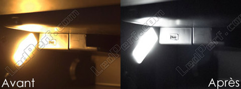 LED Guantera Citroen DS5