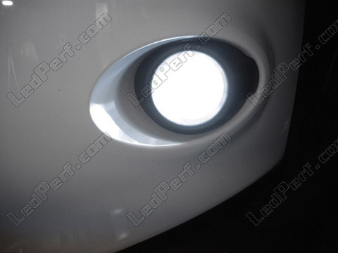 LED Antinieblas Xenón efecto Ford Focus MK3