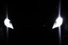 LED luces de posición blanco xenón Ford Mondeo MK4