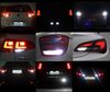 LED luces de marcha atrás Ford Tourneo courier Tuning