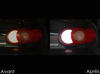 LED luces de marcha atrás Mazda MX 5 fase 2 antes y después