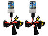 LED Bombillas Xenón HID Mini Cooper II (R50 / R53) Tuning