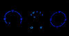 LED Ventilación clim. azul Skoda Fabia
