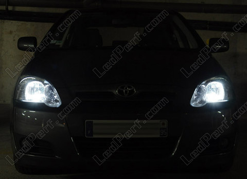 LED luces de posición blanco xenón Toyota Corolla E120