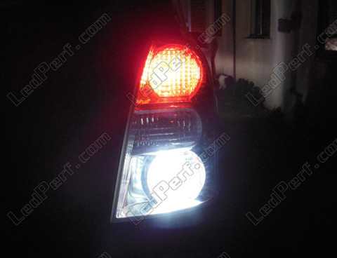 LED luces de marcha atrás Toyota Corolla Verso