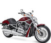 Motocicleta Harley-Davidson V-Rod 1130 - 1250 (2002 - 2006)