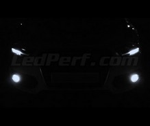 Pack de bombillas antiniebla Xenón efecto para Audi Q3