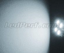 Pack luces de posición de LED (blanco xenón) para Opel Vectra B