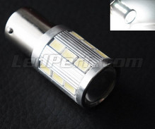 Bombilla P21/5W Magnifier de 21 LEDs SG de Alta Potencia + Lupa blancas Casquillo BAY15D
