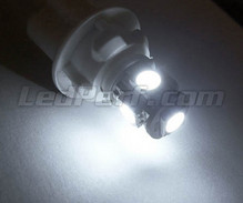 Pack luces de posición de LED (blanco xenón) para Toyota Rav4 MK3