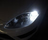 Pack luces de circulación diurna LED (blanco xenón) para Seat León 2