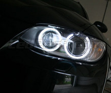 Pack Angel eyes H8 LEDs (blanco puro 6000K) para BMW Serie 3 (E92 - E93) - Estándar