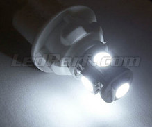 Pack luces de posición de LED (blanco xenón) para Chevrolet Corvette C6