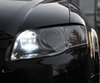 Pack luces de circulación diurna (blanco xenón) para Audi A4 B7