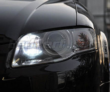 Pack luces de circulación diurna (blanco xenón) para Audi A4 B7