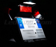Pack iluminación LED de placa de matrícula (blanco xenón) para BMW Motorrad K 1200 R