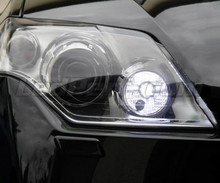 Pack luces de circulación diurna LED (blanco xenón) para Renault Laguna 3