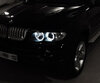 Pack de LEDs Angel eyes para BMW X5 (E53) - Estándar